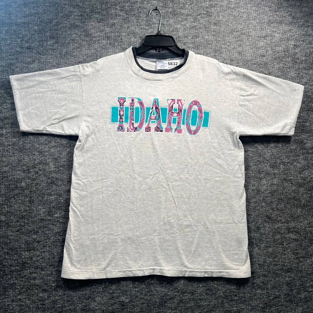 Vintage 90s Idaho T Shirt Premier Sportswear Gray Single Stitch Large